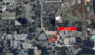 Plus de détails pour US Highway 301, Zephyrhills, FL - Terrain à vendre