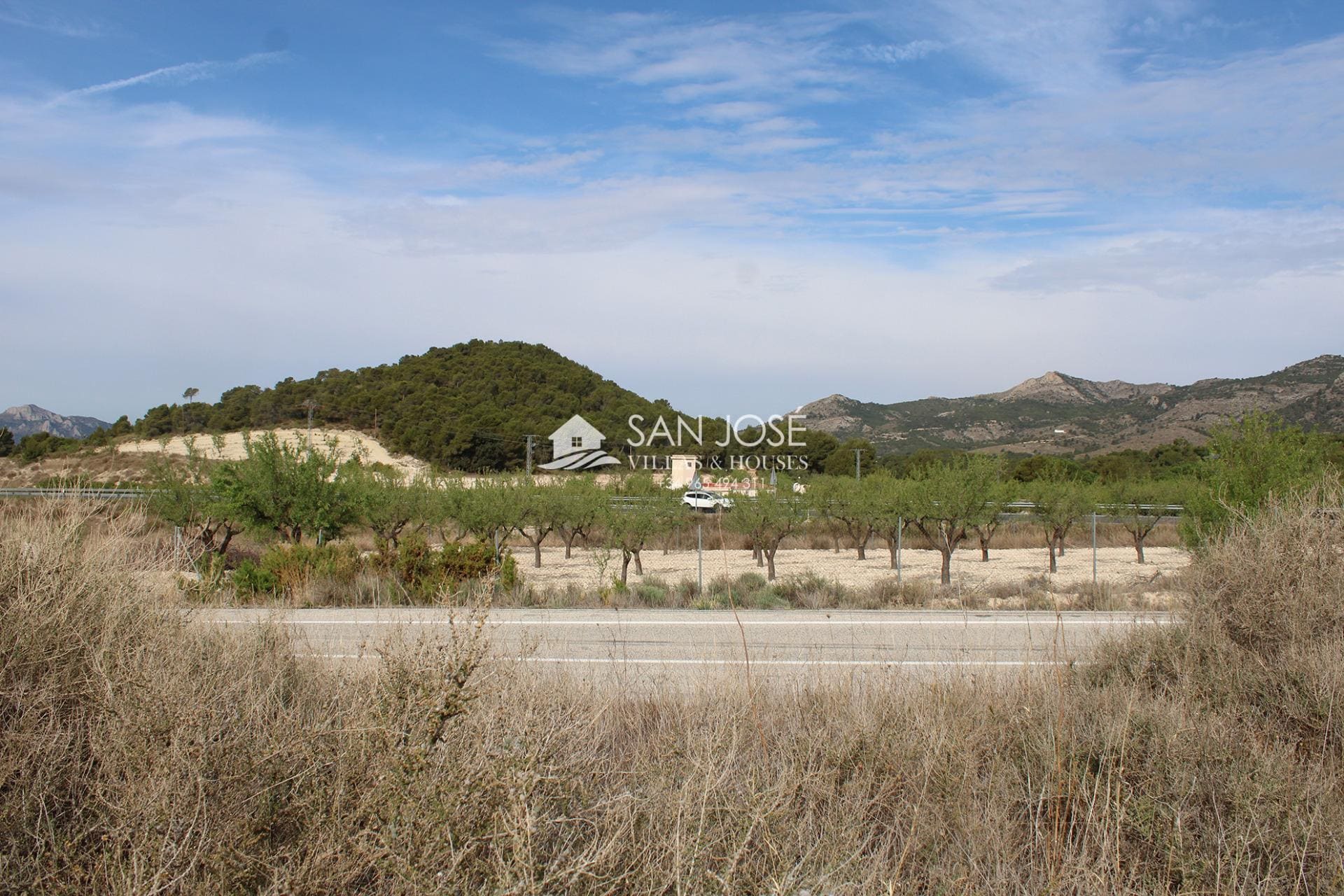 Land in Sax, Alicante for sale Primary Photo- Image 1 of 7