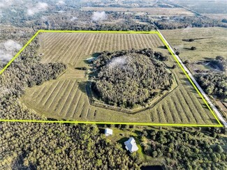 Plus de détails pour 17850 Wildcat Dr, Fort Myers, FL - Terrain à vendre