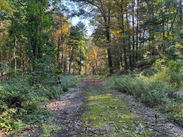 240 Boardman Rd, Poughkeepsie, NY à vendre - Photo du bâtiment - Image 3 de 5