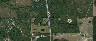 Plus de détails pour 15410 County Road 121, Bryceville, FL - Terrain à vendre