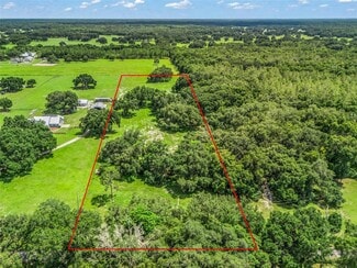More details for CR 738, Webster, FL - Land for Sale