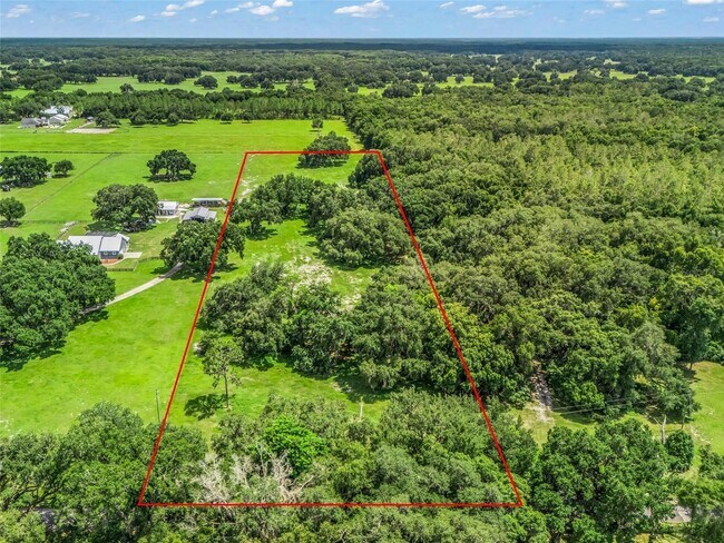 Plus de détails pour CR 738, Webster, FL - Terrain à vendre
