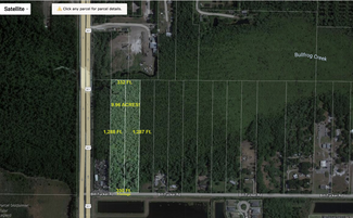 More details for 10502 & 11632 Bill Tucker, Wimauma, FL - Land for Sale