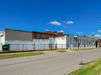 Plus de détails pour 232 Ferdinand St, Detroit, MI - Industriel à vendre