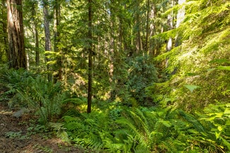 Plus de détails pour 33170 Frog Pond rd, Little River, CA - Terrain à vendre