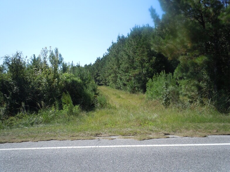 Near 10547 Andrew Jackson Highway SW Rd, Fair Bluff, NC à vendre - Autre - Image 3 de 3