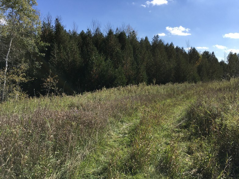 9351 First Line-Nassagaweya, Milton, ON for sale - Other - Image 1 of 1