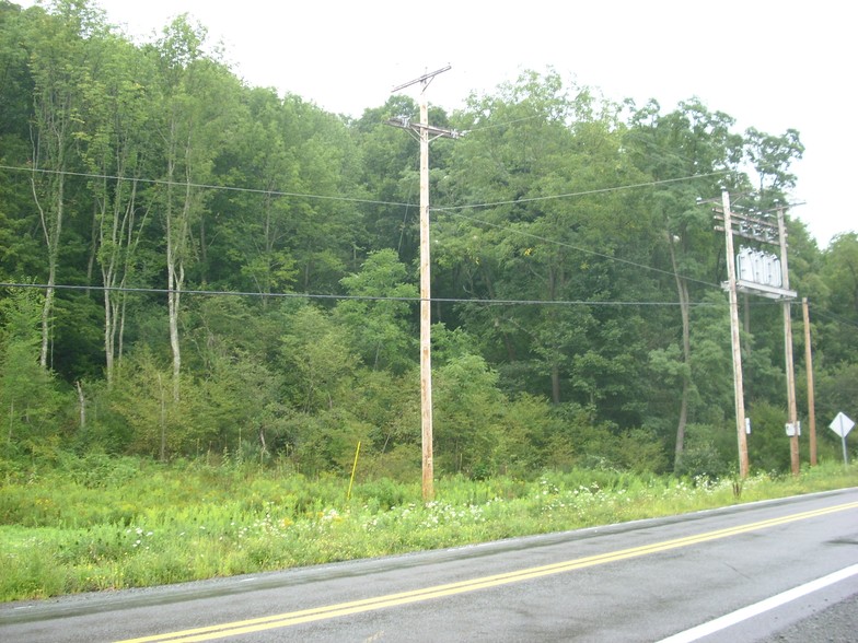 Route 92 S, Kingsley, PA à vendre - Photo principale - Image 1 de 1