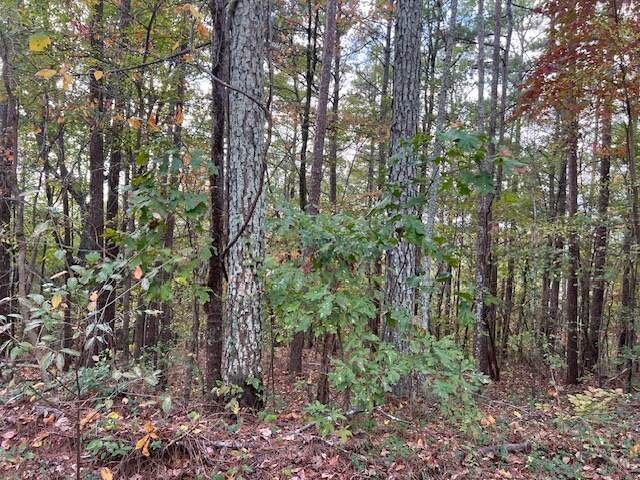 100 Valley View Farm Rd SW, Cartersville, GA à vendre - Photo du bâtiment - Image 2 de 13