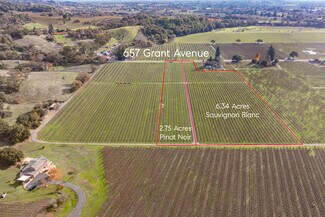 Plus de détails pour 657 Grant ave, Healdsburg, CA - Terrain à vendre