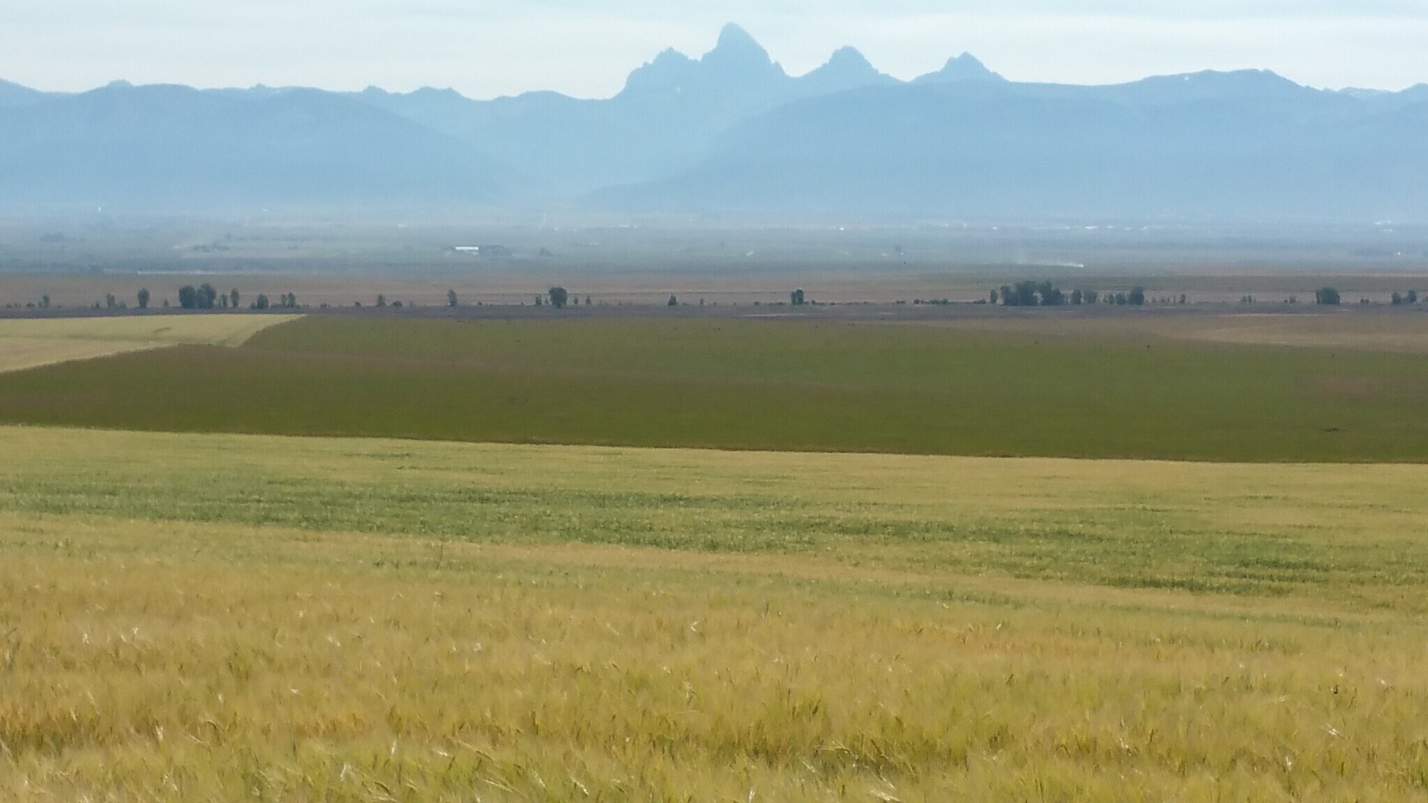 250 N 800 W, Tetonia, ID à vendre Photo principale- Image 1 de 11