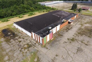 Plus de détails pour 4359 Clio Rd, Flint, MI - Industriel à vendre