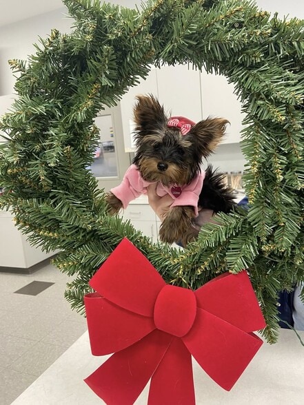 Two Veterinarian Hospitals portfolio of 2 properties for sale on LoopNet.ca - Building Photo - Image 2 of 5