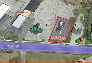842 S Chestnut St, Reed City, MI - Aerial  map view - Image1