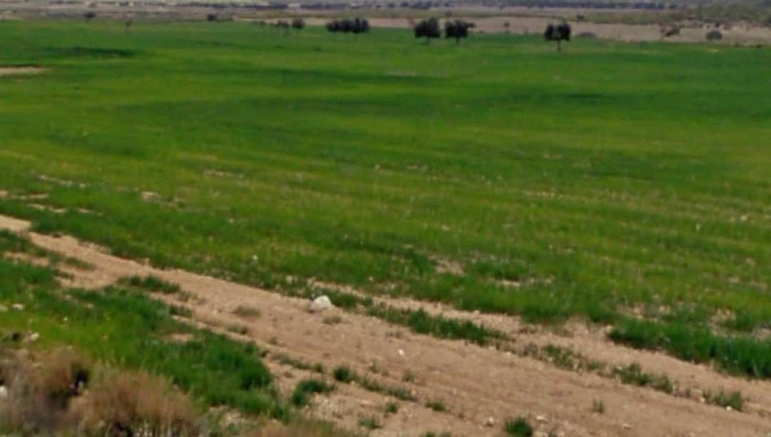 Terrain dans Lorca, Murcia à vendre Aérien- Image 1 de 4
