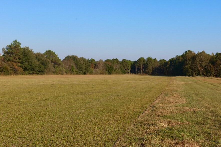 Cane Creek Rd, Quincy, FL for sale - Building Photo - Image 2 of 19