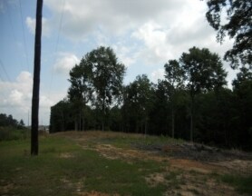 Foxgate Ave & Ford Ave, Hattiesburg, MS à vendre - Photo du bâtiment - Image 2 de 6