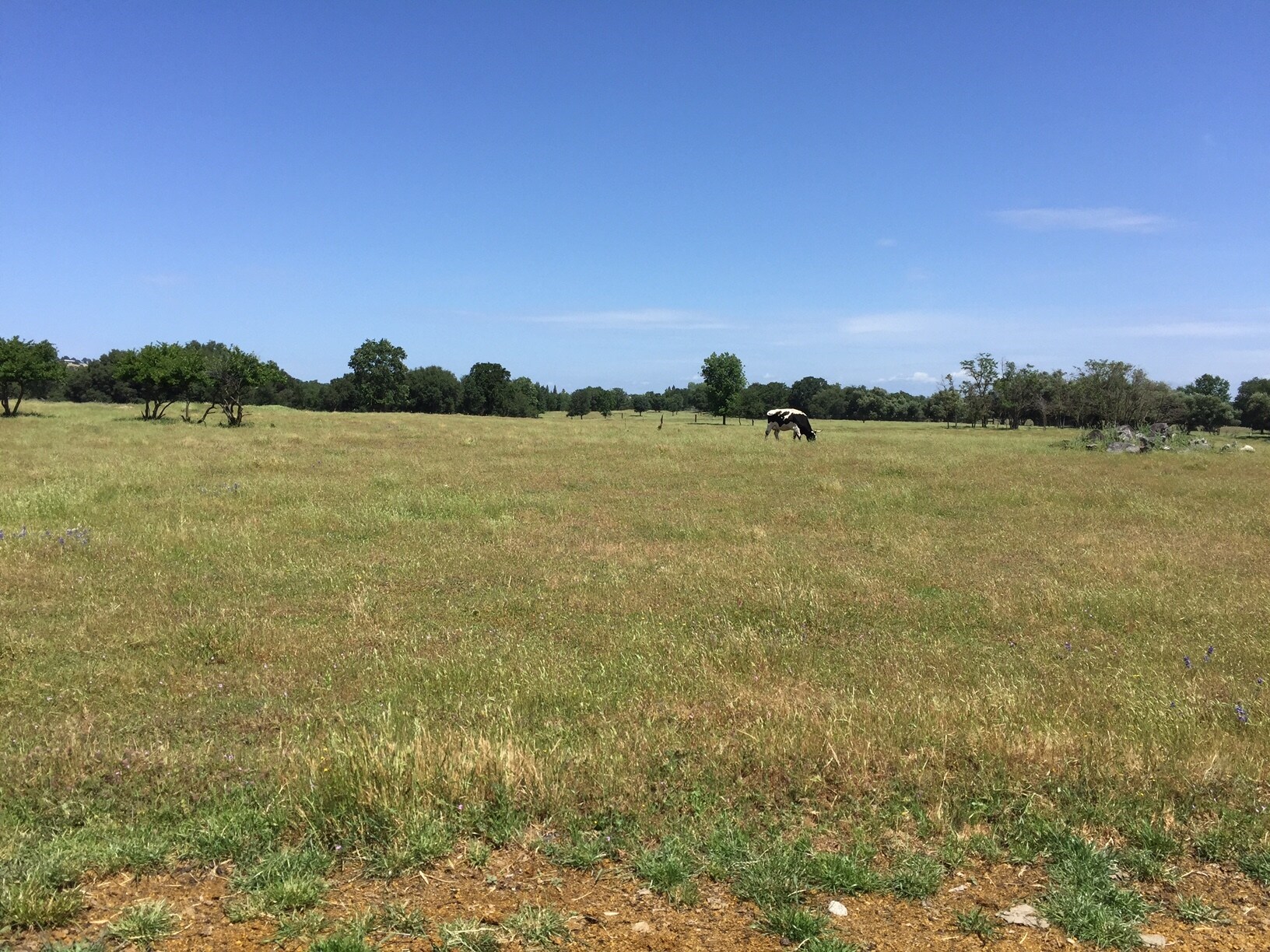 Delmar Ave, Loomis, CA à vendre Photo principale- Image 1 de 7