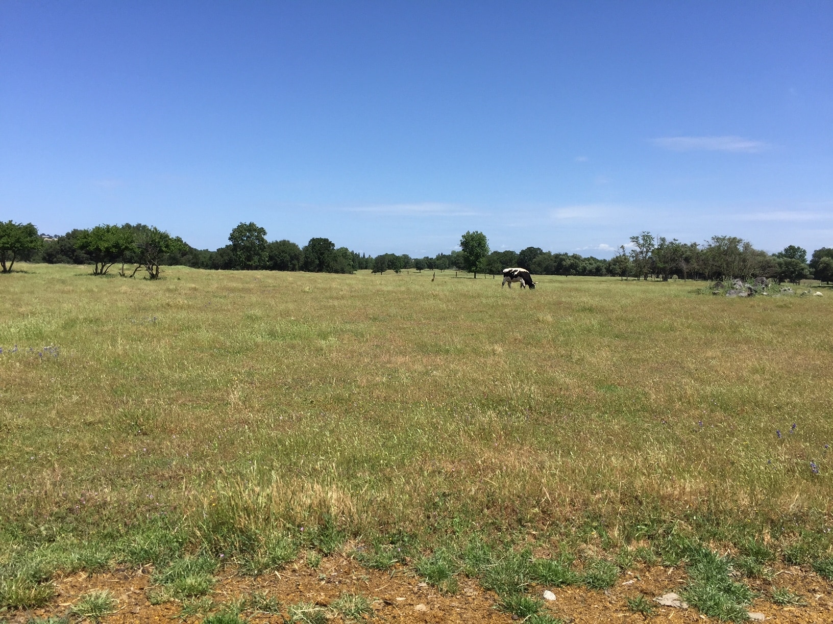 Delmar Ave, Loomis, CA for sale Primary Photo- Image 1 of 7