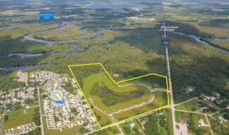 Plus de détails pour 9881 SW Lettuce Lake Ave, Arcadia, FL - Terrain à vendre