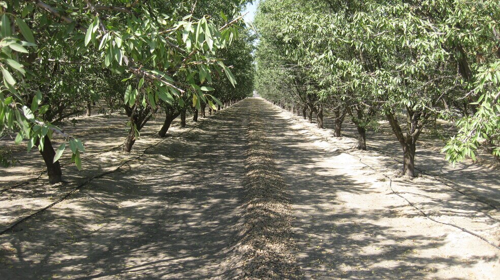 9919 E Mountain View Ave, Selma, CA à vendre - Photo du bâtiment - Image 2 de 2