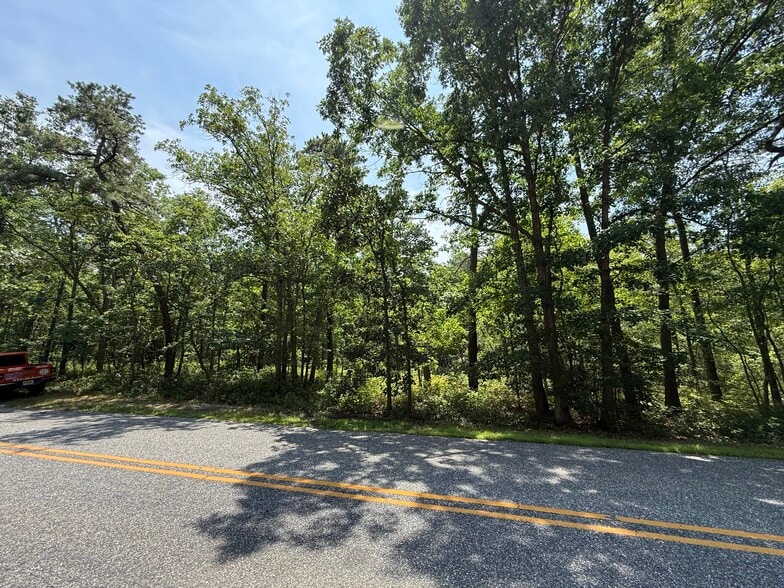 Holly Street, Mays Landing, NJ for sale - Other - Image 2 of 3