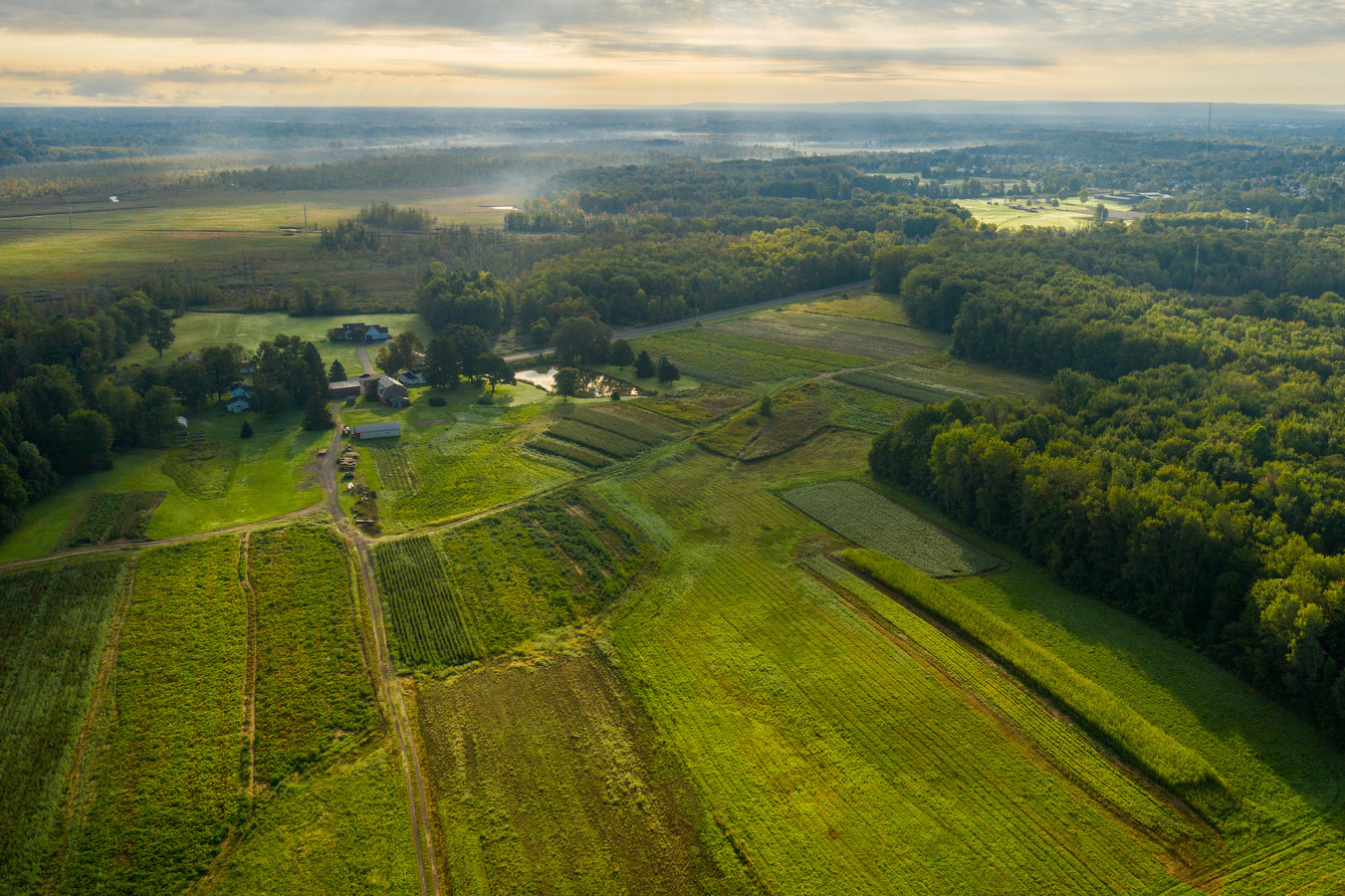 Aerial