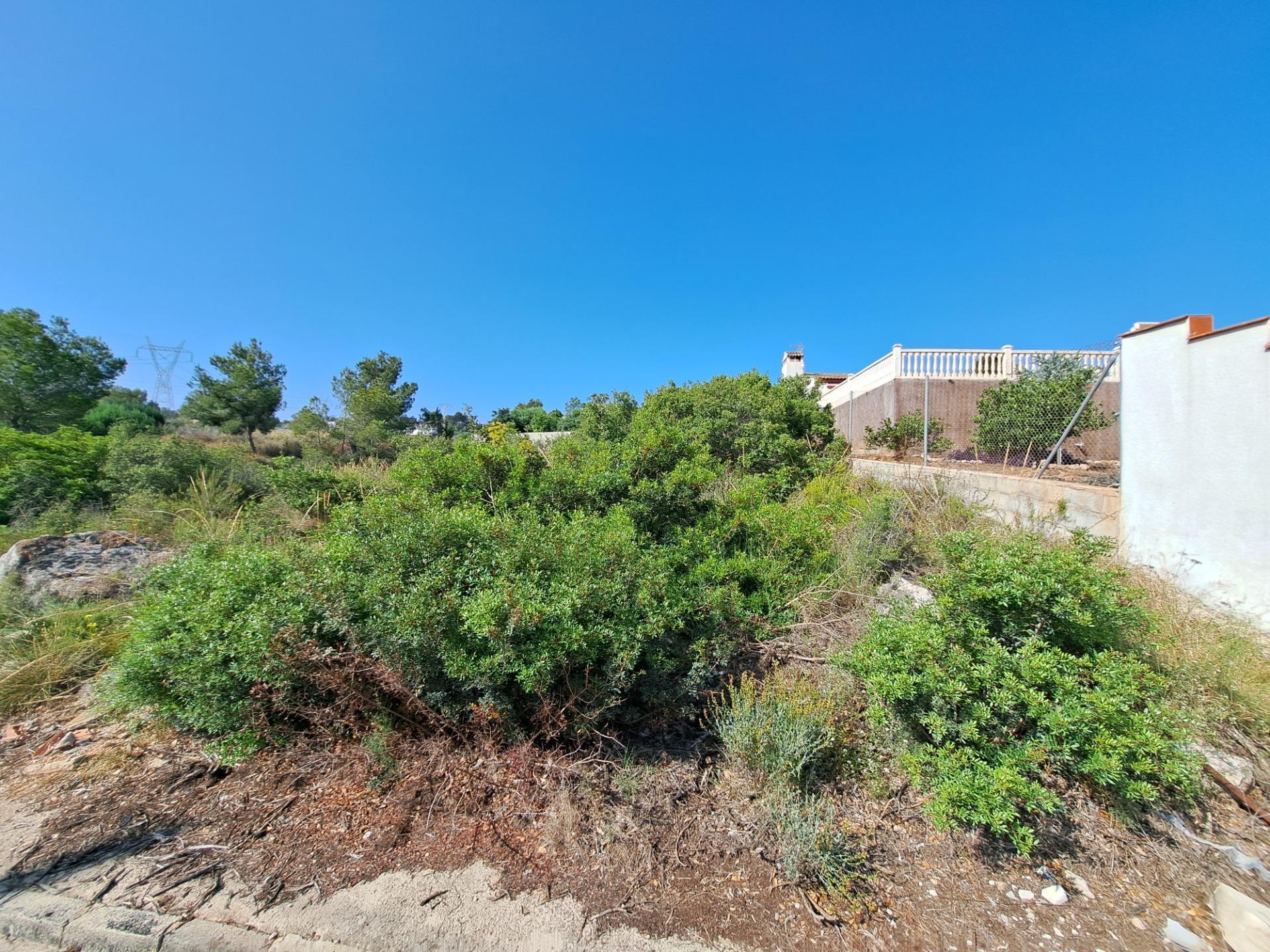 Land in València, Valencia for sale Primary Photo- Image 1 of 3