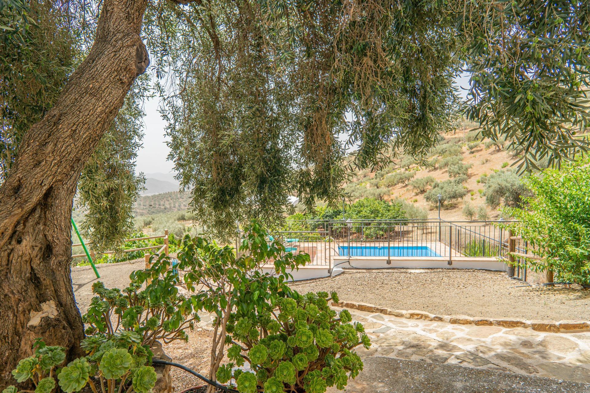 Polígono Ua-7, 2, Huétor de Santillán, Granada for sale Building Photo- Image 1 of 51