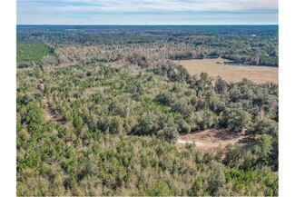 Plus de détails pour 344 Roland Harvey Rd, Crawfordville, FL - Terrain à vendre