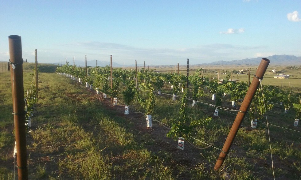 68 Harvest Dr, Sonoita, AZ à vendre - Photo intérieure - Image 2 de 4