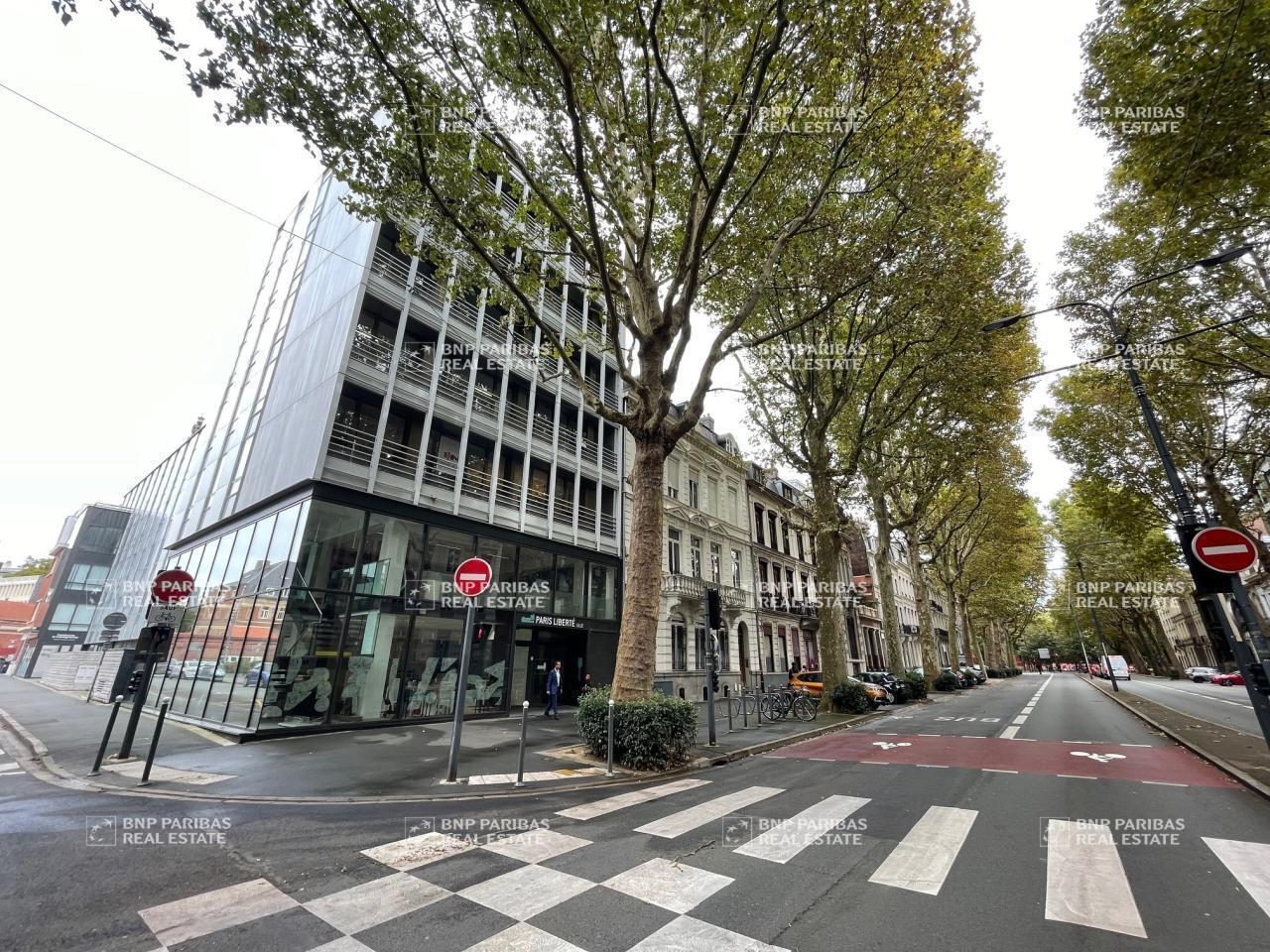 217 Boulevard De La Liberté, Lille à louer Photo du bâtiment- Image 1 de 18