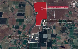 Plus de détails pour 14306 W Acord Rd, Benton City, WA - Terrain à vendre