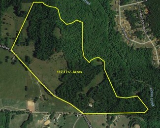 Plus de détails pour 721 Hosannah Rd, Locust Grove, GA - Terrain à vendre