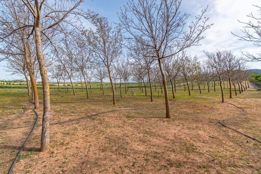 Pago de las Manguetas, 4, Padul, Granada for sale - Building Photo - Image 3 of 50