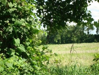More details for Parks Rd, Oakland Township, MI - Land for Sale