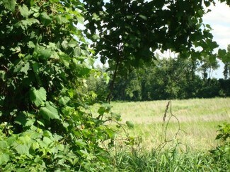 Plus de détails pour Parks Rd, Oakland Township, MI - Terrain à vendre