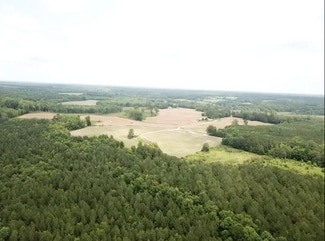 Plus de détails pour 14819 Red Bud Rd, Castalia, NC - Terrain à vendre