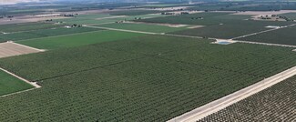 Plus de détails pour Avenue 192, Strathmore, CA - Terrain à vendre