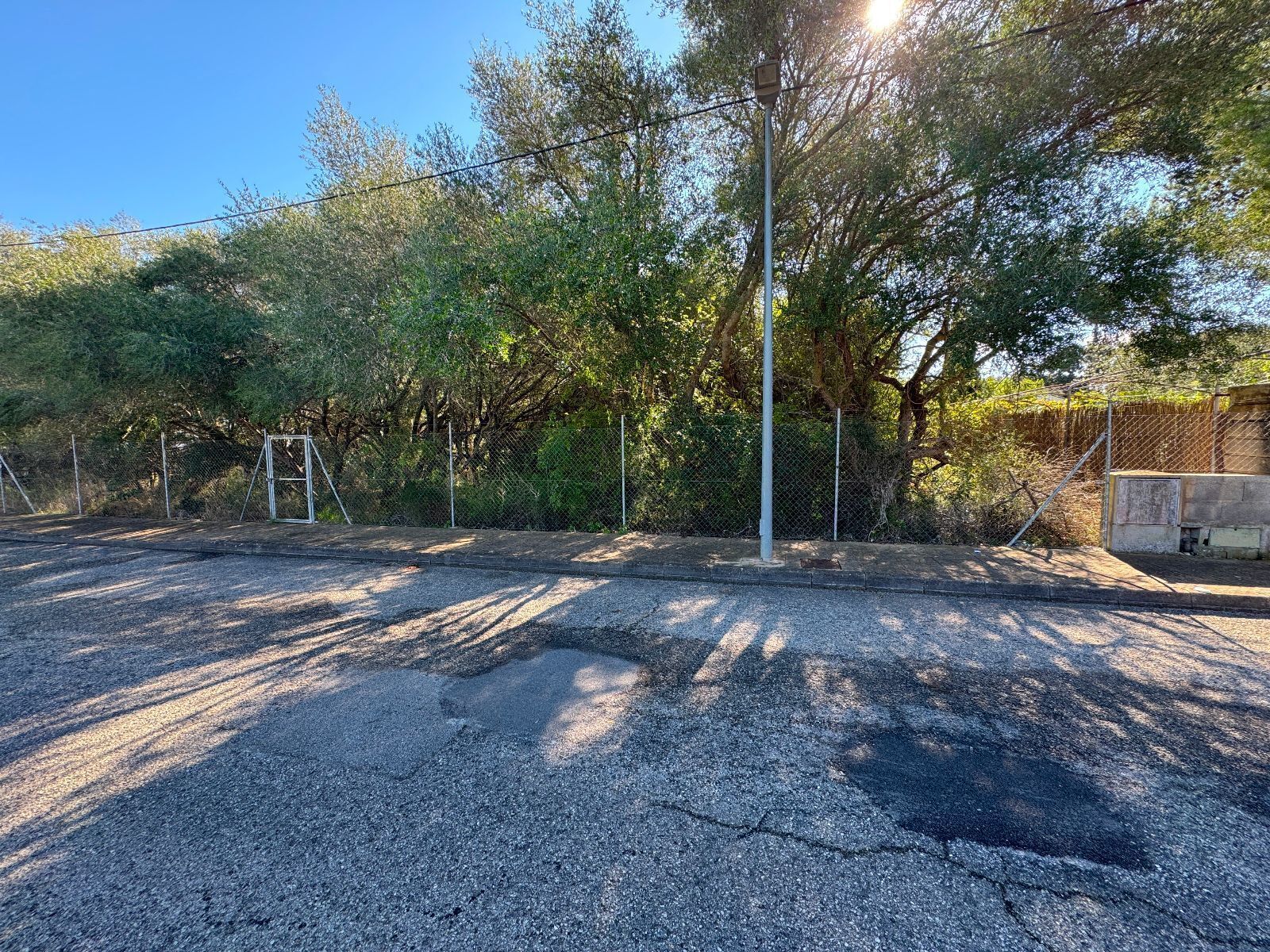 Land in Sa Pobla, Islas Baleares for sale Primary Photo- Image 1 of 16