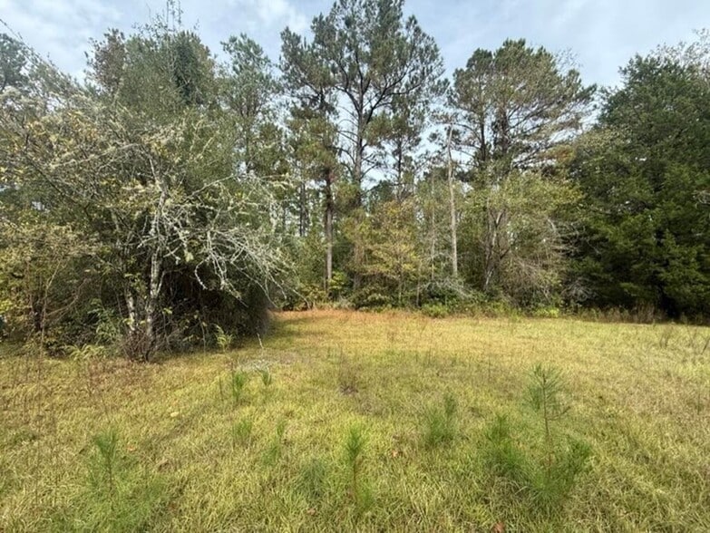 TBD Possum Trot ln, Pitkin, LA à vendre - Photo du bâtiment - Image 2 de 3