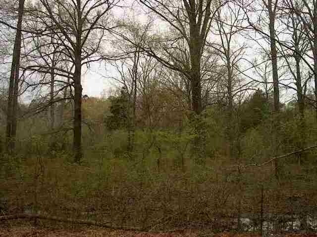 0 Rummel Rd, Little Rock, AR à vendre - Photo principale - Image 2 de 2