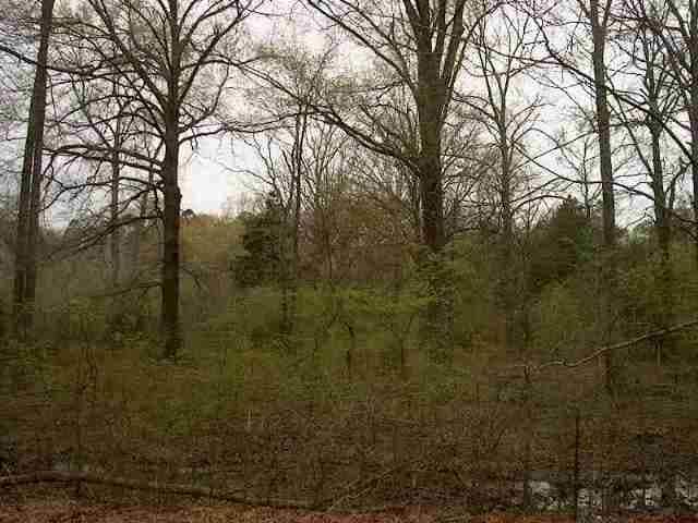 0 Rummel Rd, Little Rock, AR for sale - Primary Photo - Image 2 of 2