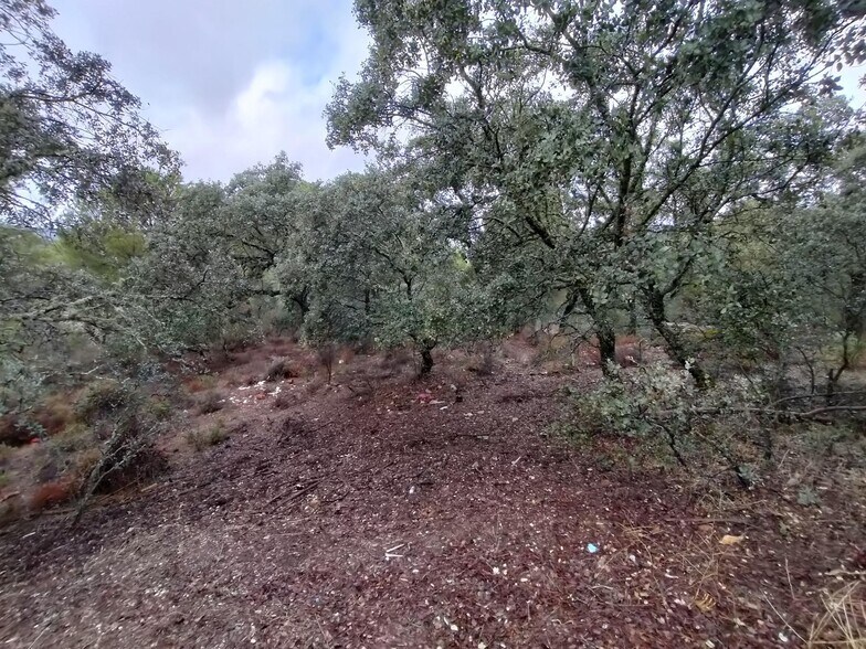 Land in Córdoba, Córdoba for sale - Building Photo - Image 3 of 6