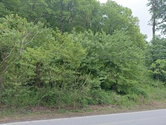 Plus de détails pour 115 Pennell Road, Media, PA - Terrain à vendre