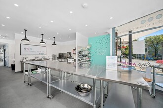 142 Spit Rd, Mosman for lease Interior Photo- Image 2 of 5