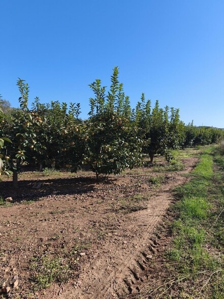 Land in València, Valencia for sale - Primary Photo - Image 1 of 6