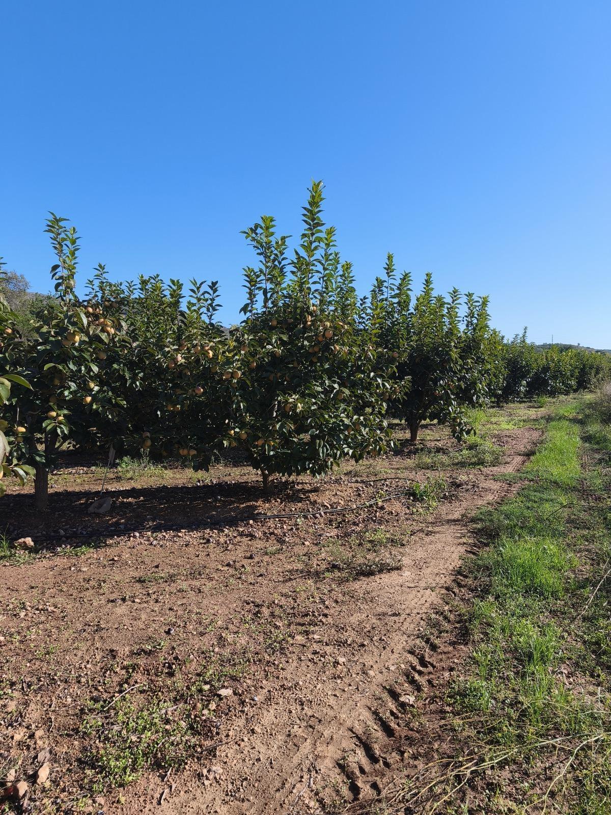 Plaça Bandes de Música de la Comunitat Valenciana, 5, València, Valencia à vendre Photo principale- Image 1 de 7