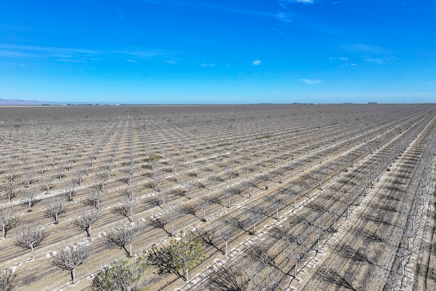 Colusa Avenue, Five Points, CA for sale - Building Photo - Image 3 of 12